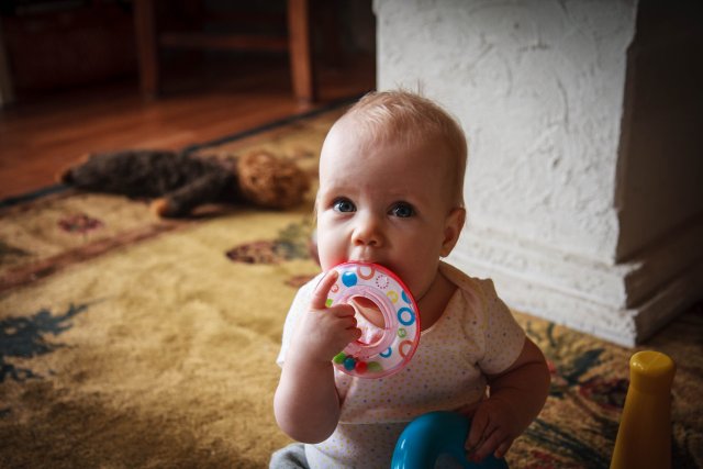 Sonja devouring her toys